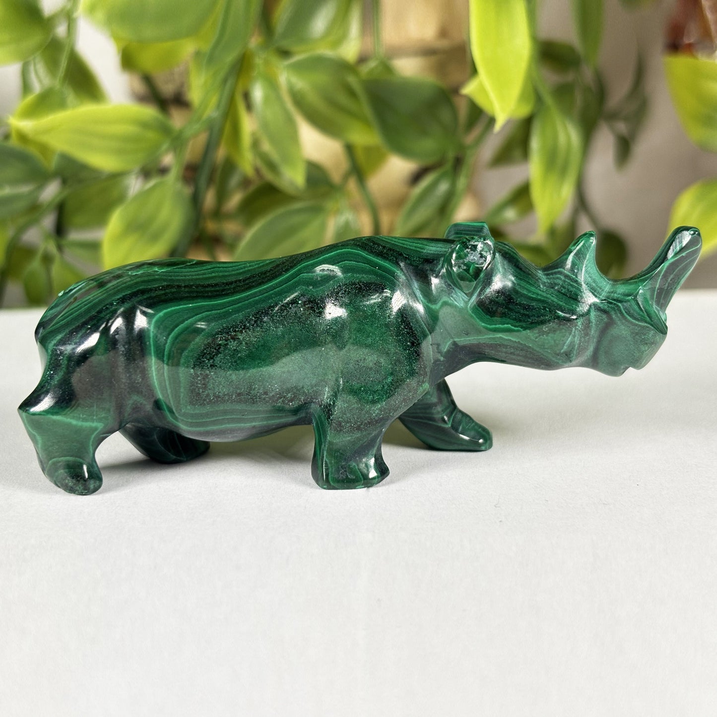 Malachite Rhino Carving - Gem Avenue Retail