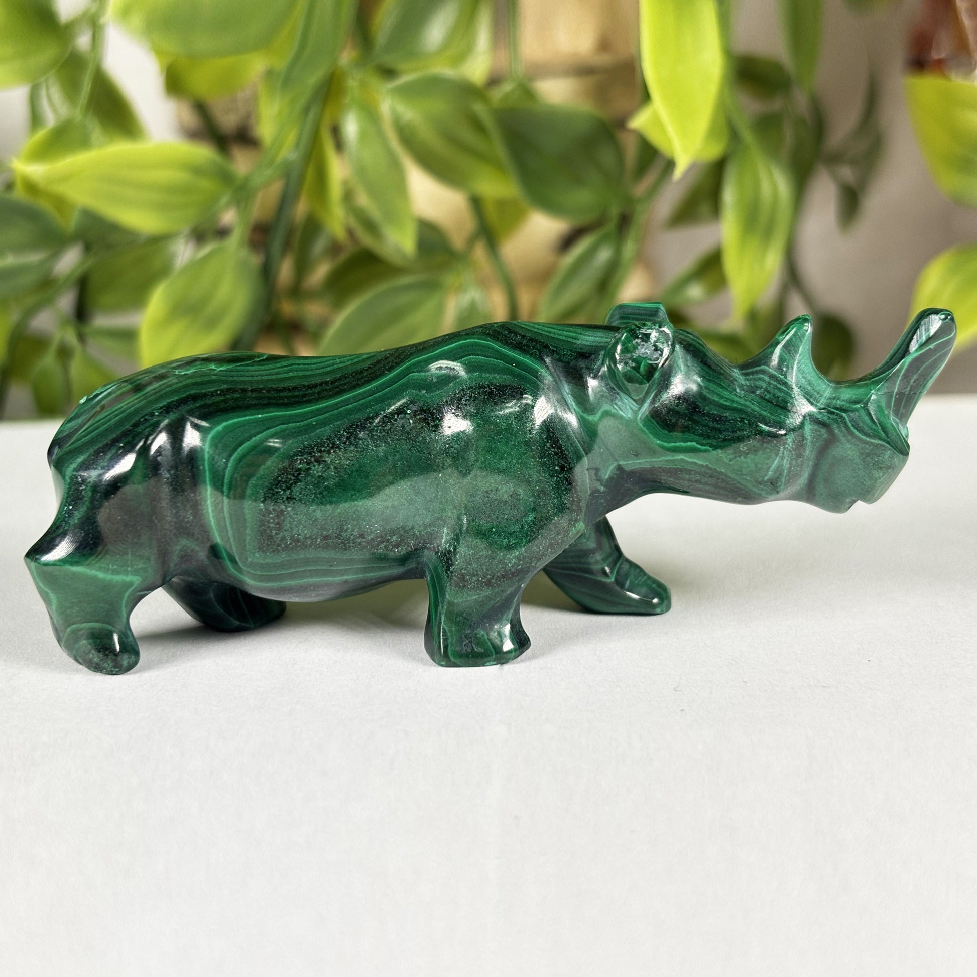 Malachite Rhino Carving - Gem Avenue Retail