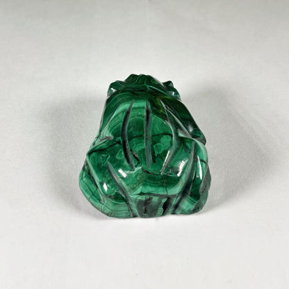 Malachite Frog Carving - Gem Avenue Retail