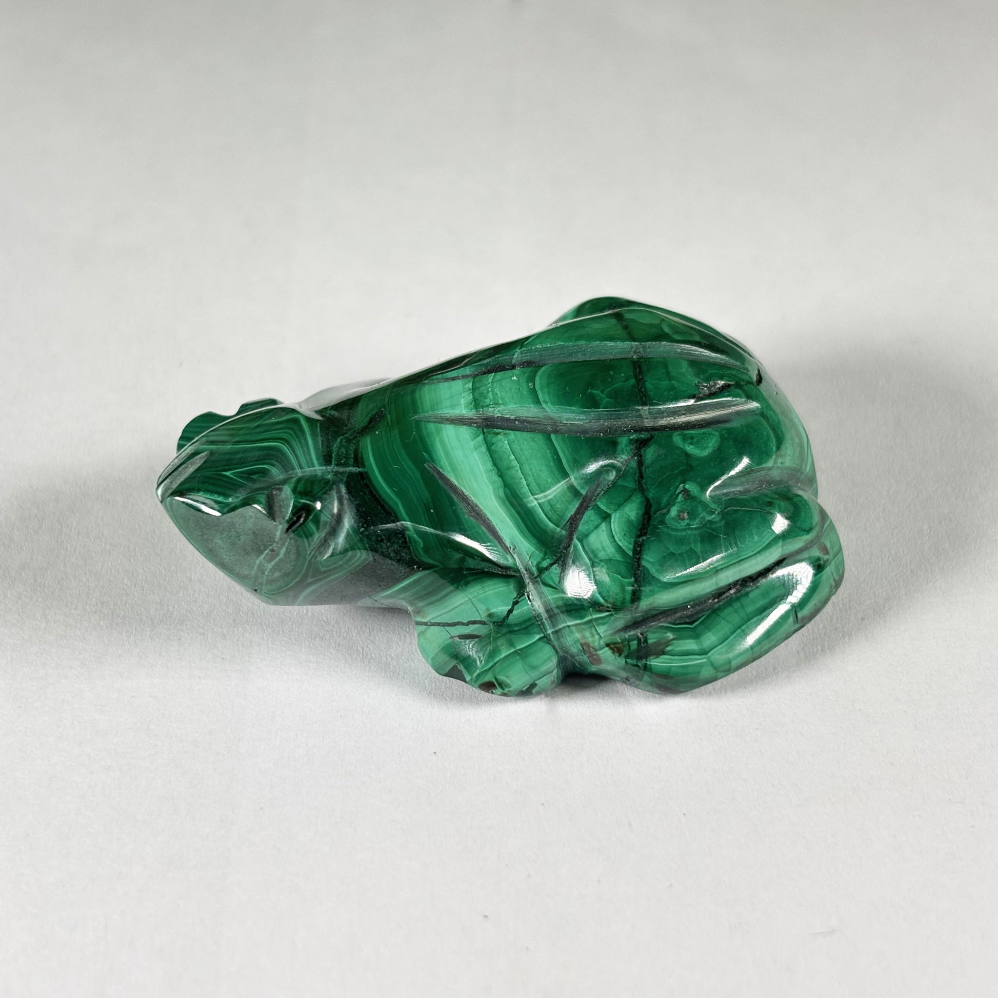 Malachite Frog Carving - Gem Avenue Retail