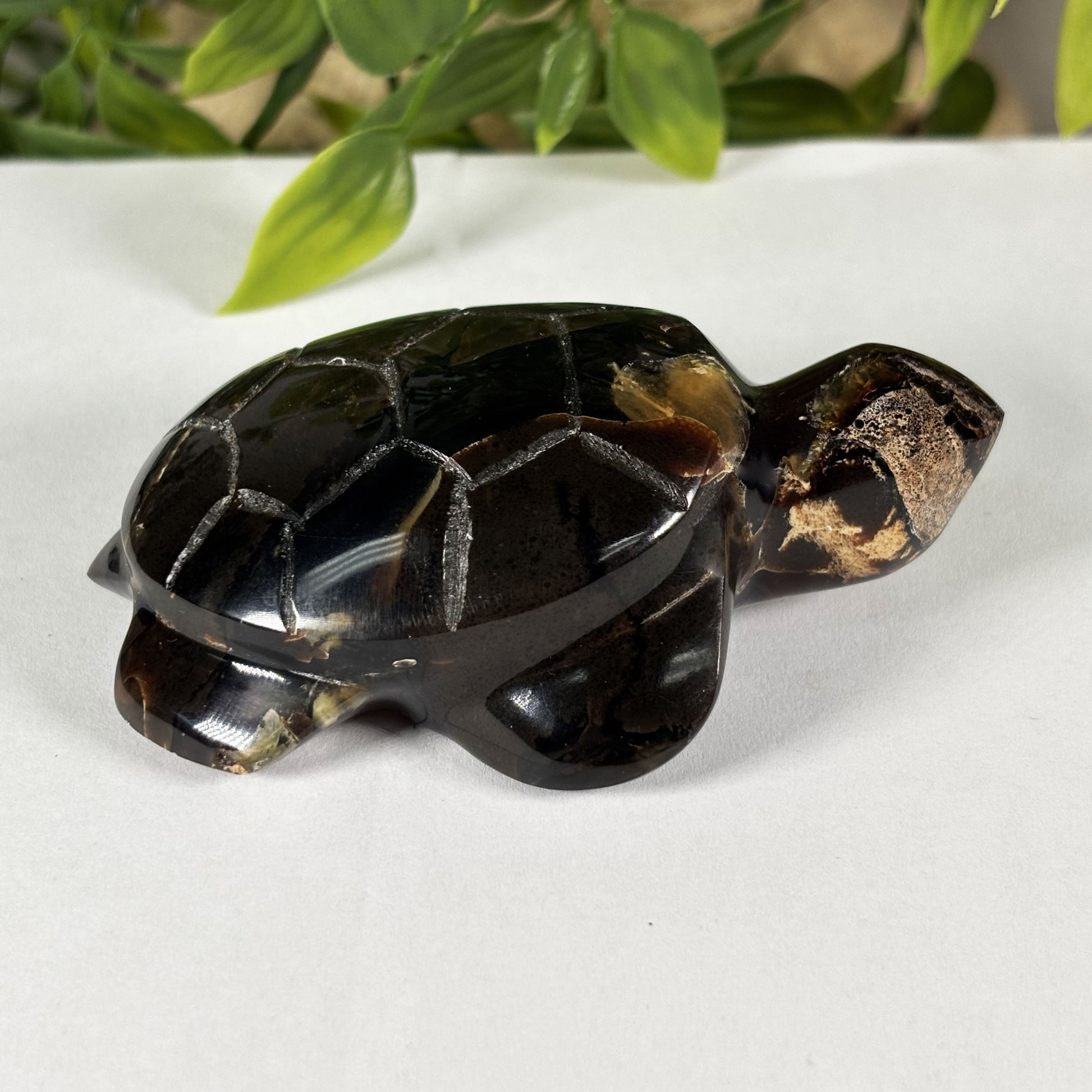 Amber Turtle Animal Figurine - Gem Avenue Retail