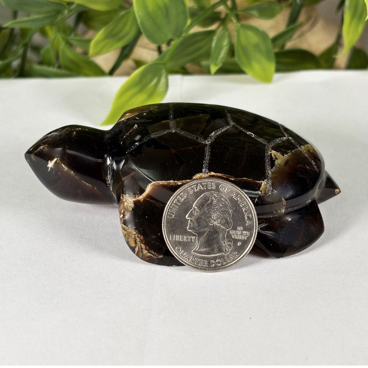 Amber Turtle Animal Figurine - Gem Avenue Retail