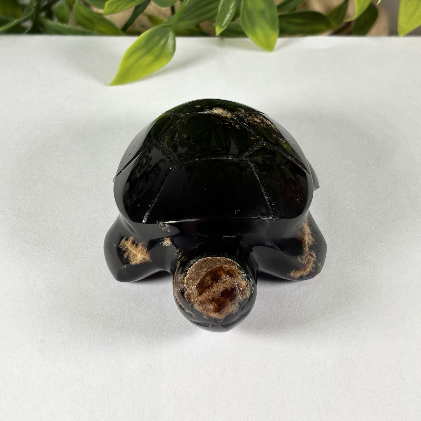 Amber Turtle Animal Figurine - Gem Avenue Retail