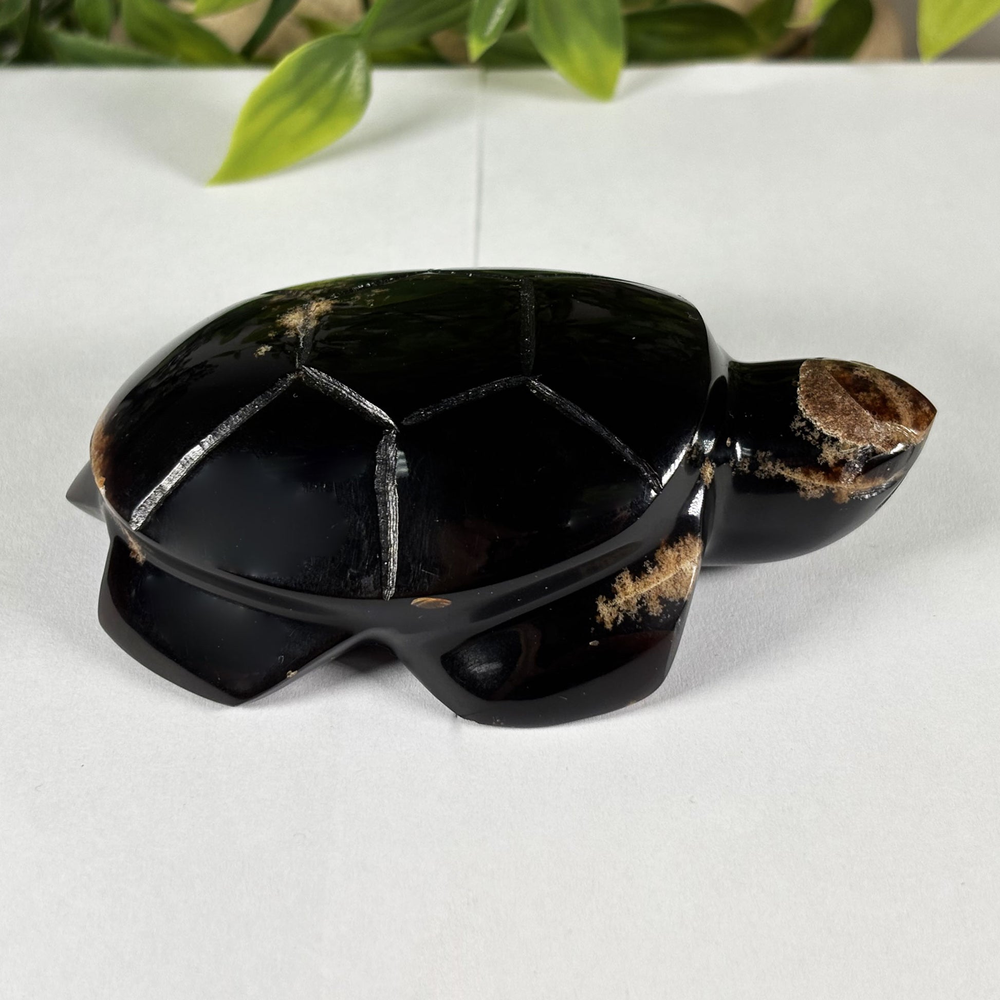 Amber Turtle Animal Figurine - Gem Avenue Retail