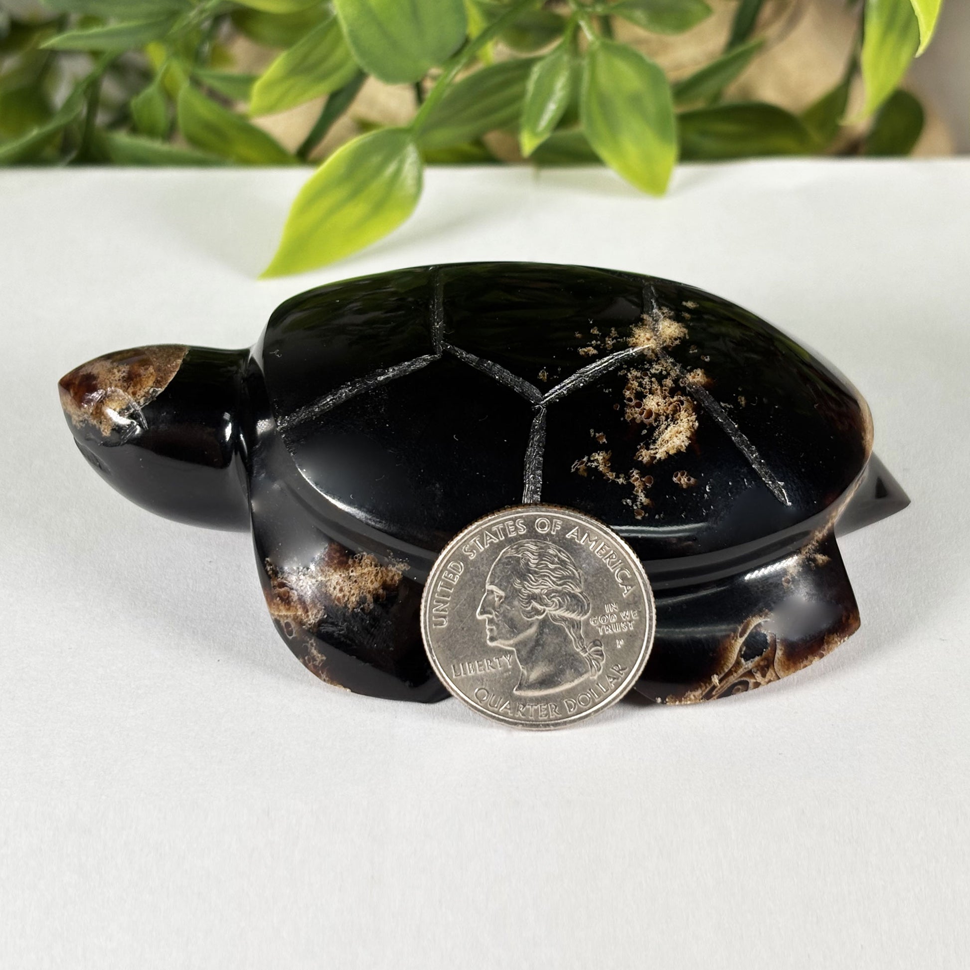 Amber Turtle Animal Figurine - Gem Avenue Retail