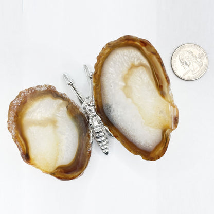 Agate Butterfly Crystal Figurine - Gem Avenue Retail