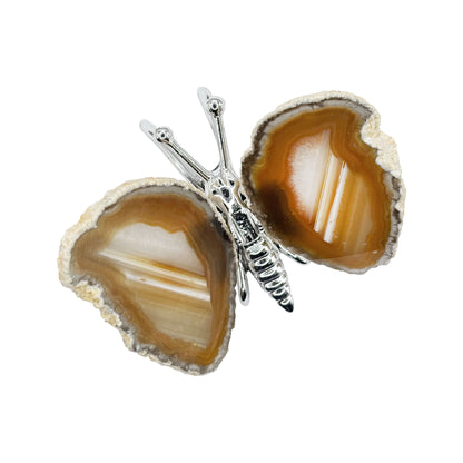 Agate Butterfly Crystal Figurine - Gem Avenue Retail