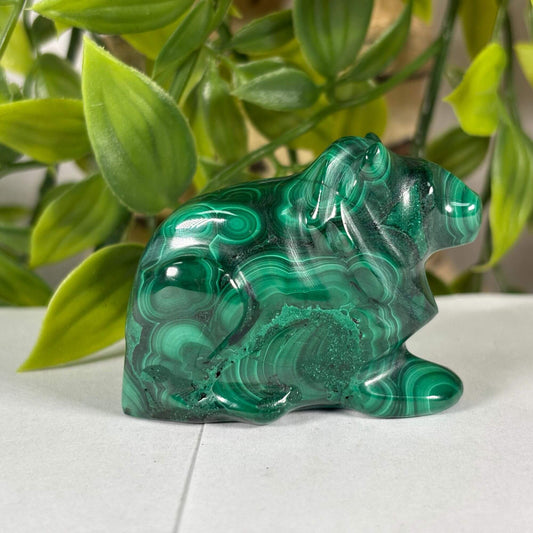 Natural Malachite Frog Carving from Congo 2.25" Polished Crystal Animal Figurine Home Decor