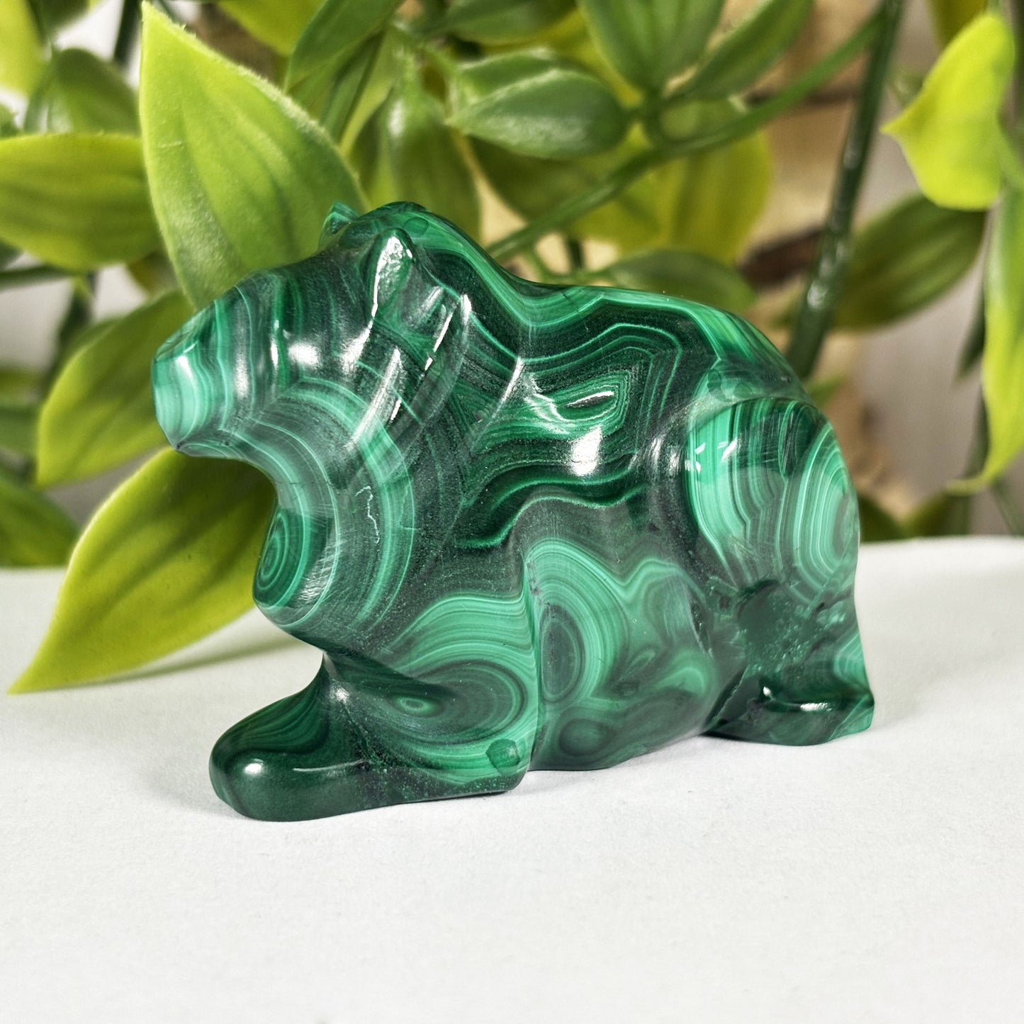 Malachite Frog Crystal Animal Figurine - Gem Avenue Retail