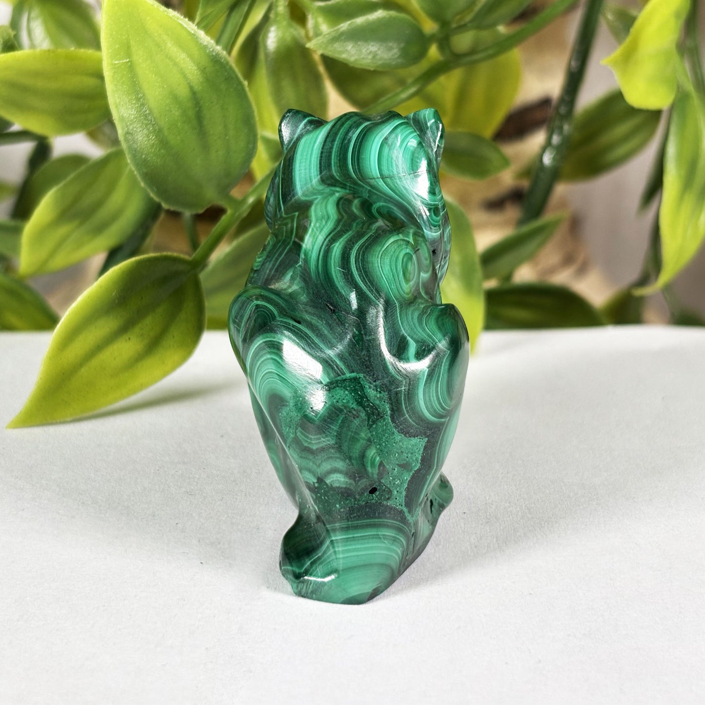 Malachite Frog Crystal Animal Figurine - Gem Avenue Retail