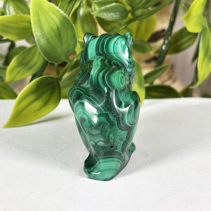 Malachite Frog Crystal Animal Figurine - Gem Avenue Retail