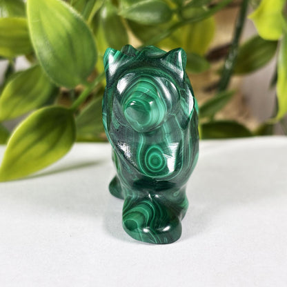 Malachite Frog Crystal Animal Figurine - Gem Avenue Retail