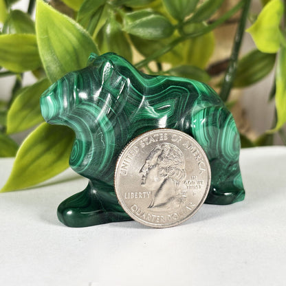 Malachite Frog Crystal Animal Figurine - Gem Avenue Retail