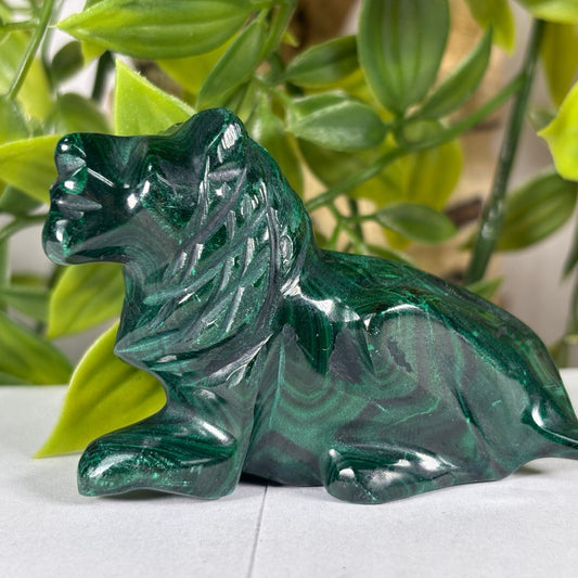 Natural Malachite Lion from Congo 2.75" Polished Crystal Animal Figurine Home Decor