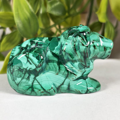 Malachite Lion Crystal Animal Figurine -Gem Avenue Retail