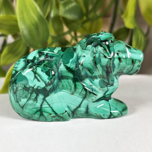 Malachite Lion Crystal Animal Figurine -Gem Avenue Retail