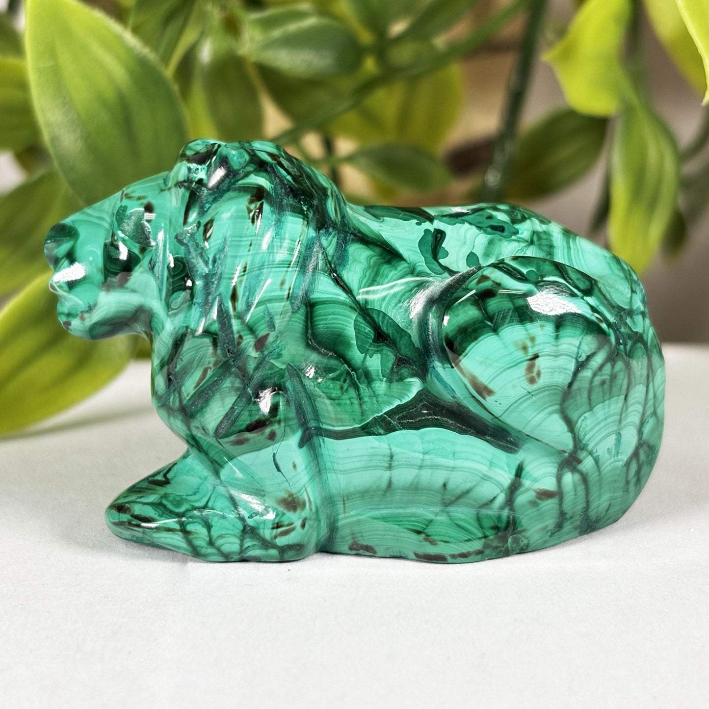 Malachite Lion Crystal Animal Figurine -Gem Avenue Retail