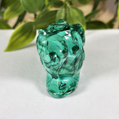 Malachite Lion Crystal Animal Figurine -Gem Avenue Retail