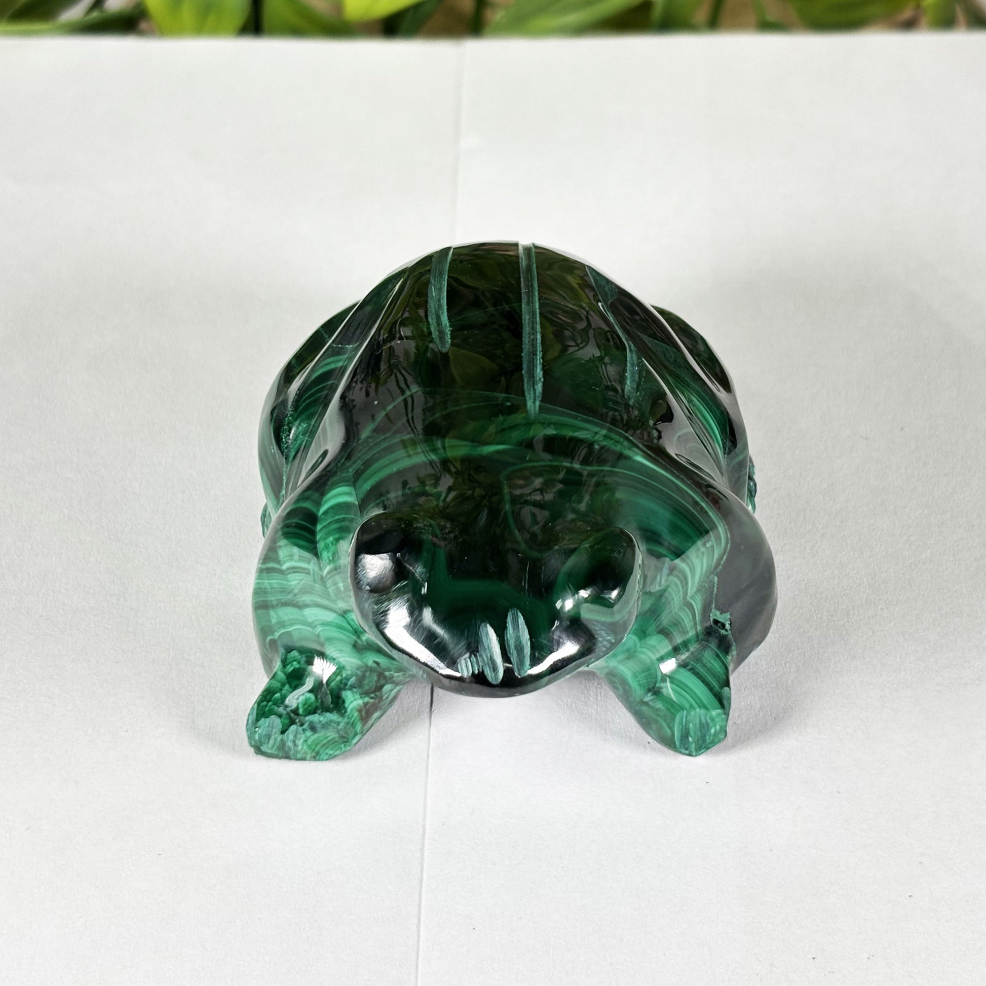 Malachite Gemstone Frog Figurine - Gem Avenue Retail