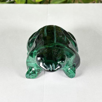 Malachite Gemstone Frog Figurine - Gem Avenue Retail