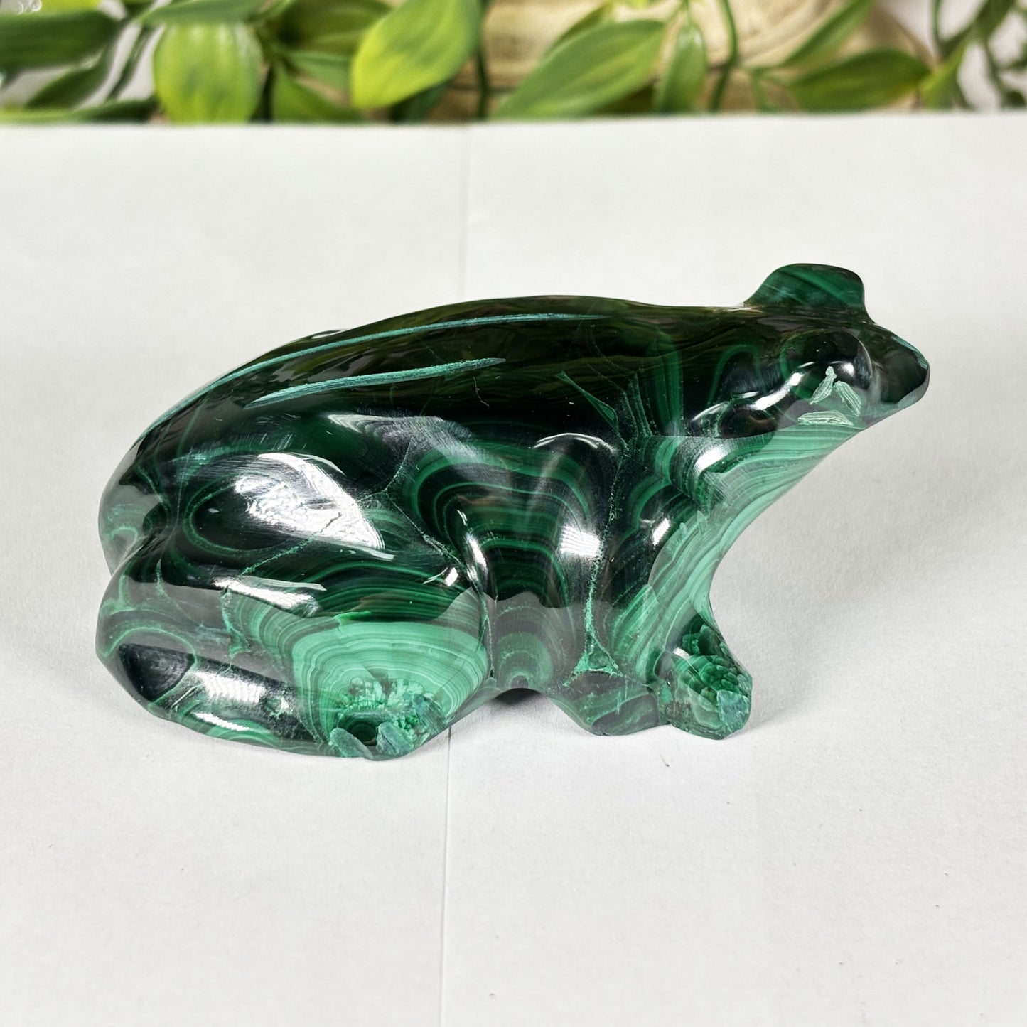 Malachite Gemstone Frog Figurine - Gem Avenue Retail