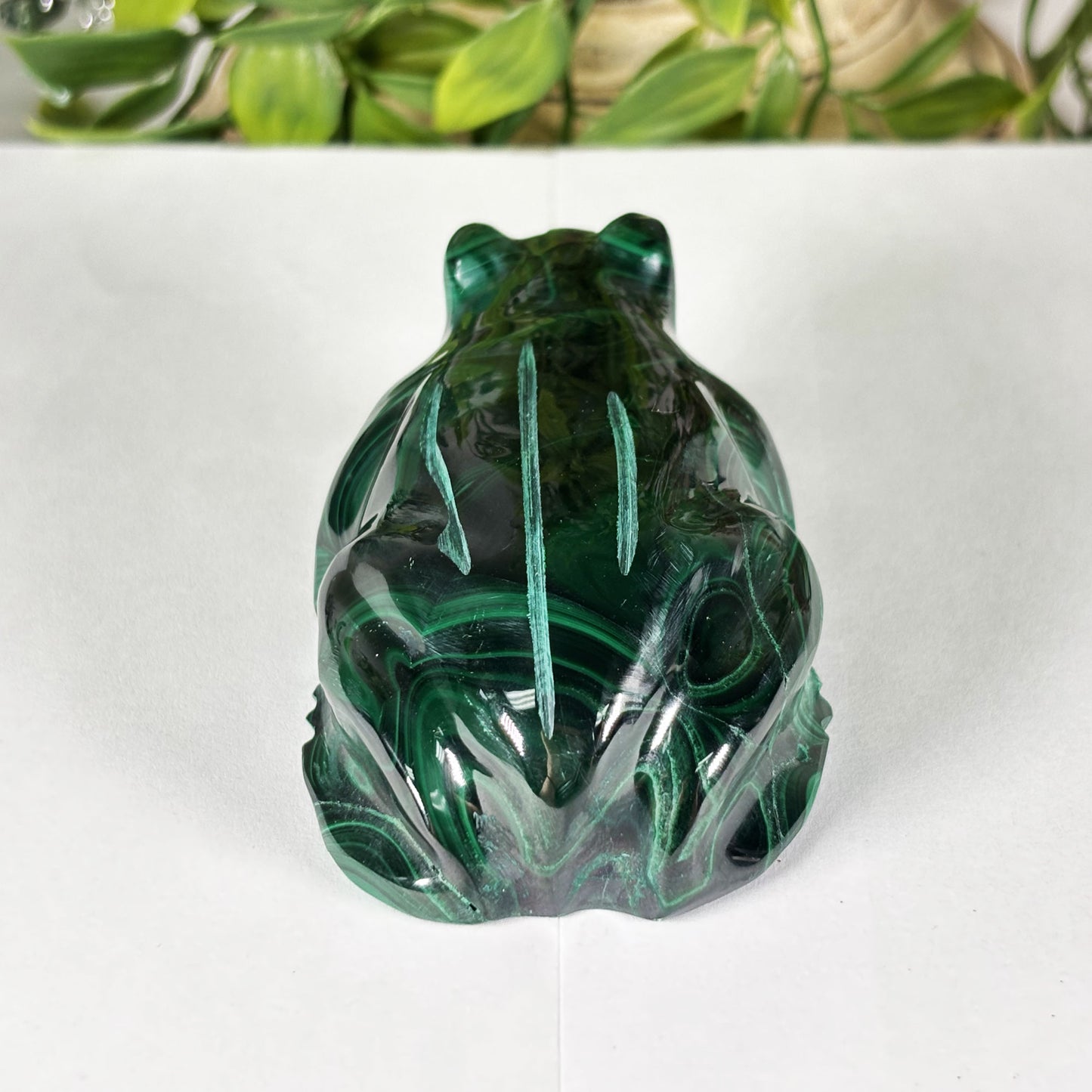 Malachite Gemstone Frog Figurine - Gem Avenue Retail