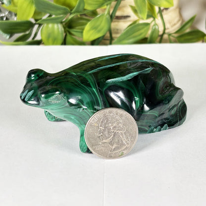 Malachite Gemstone Frog Figurine - Gem Avenue Retail