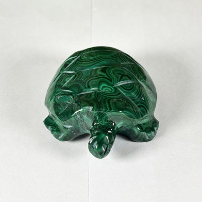Malachite Gemstone Turtle Figurine - Gem Avenue Retail