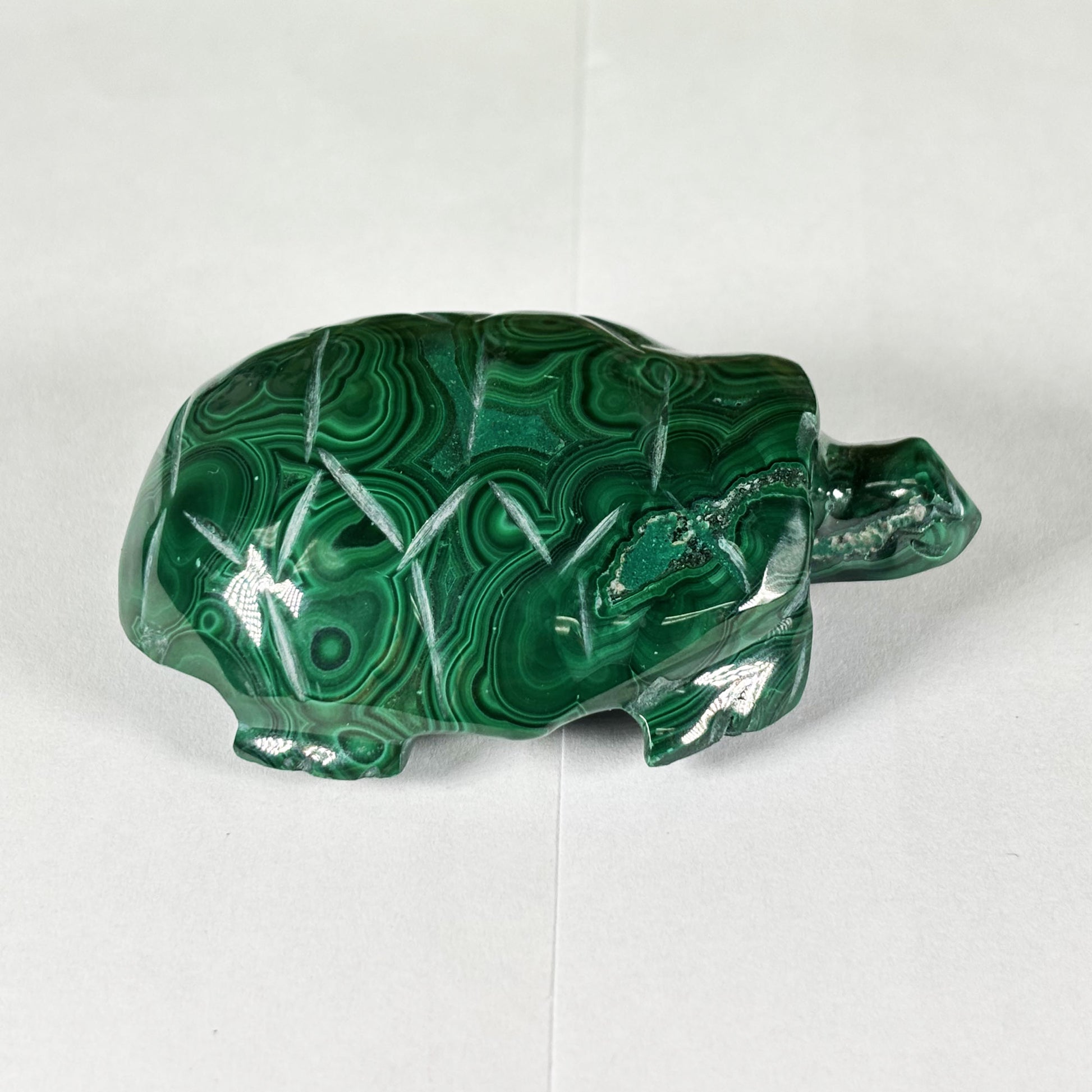 Malachite Gemstone Turtle Figurine - Gem Avenue Retail
