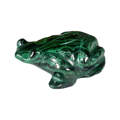 Malachite Gemstone Frog Figurine - Gem Avenue Retail