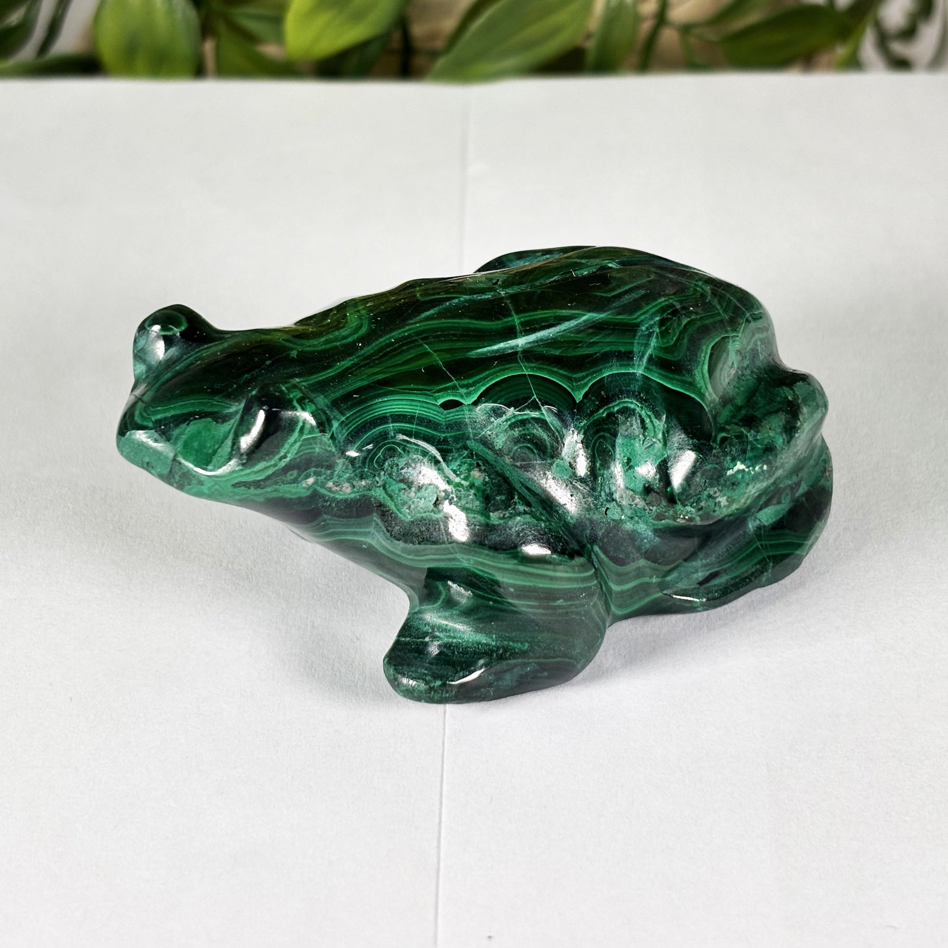 Malachite Gemstone Frog Figurine - Gem Avenue Retail