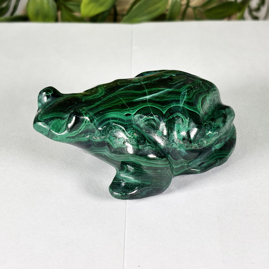 Malachite Gemstone Frog Figurine - Gem Avenue Retail