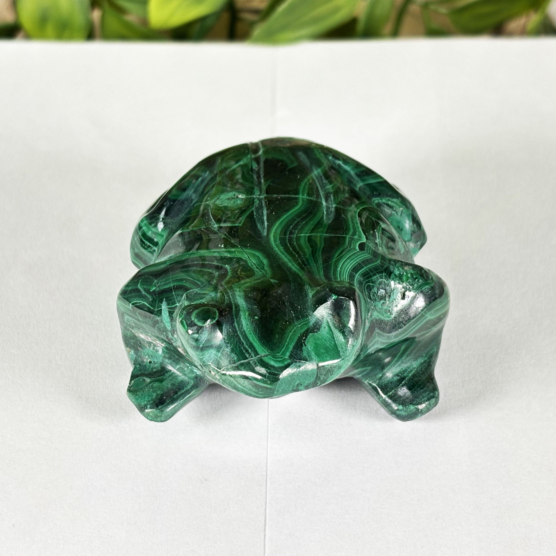 Malachite Gemstone Frog Figurine - Gem Avenue Retail