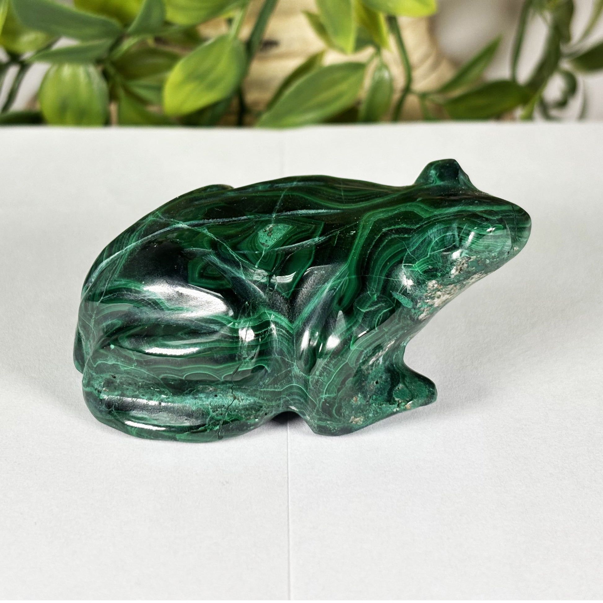 Malachite Gemstone Frog Figurine - Gem Avenue Retail