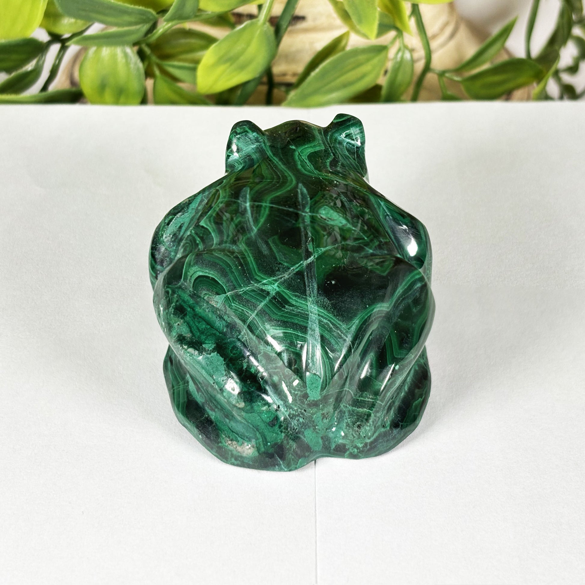 Malachite Gemstone Frog Figurine - Gem Avenue Retail