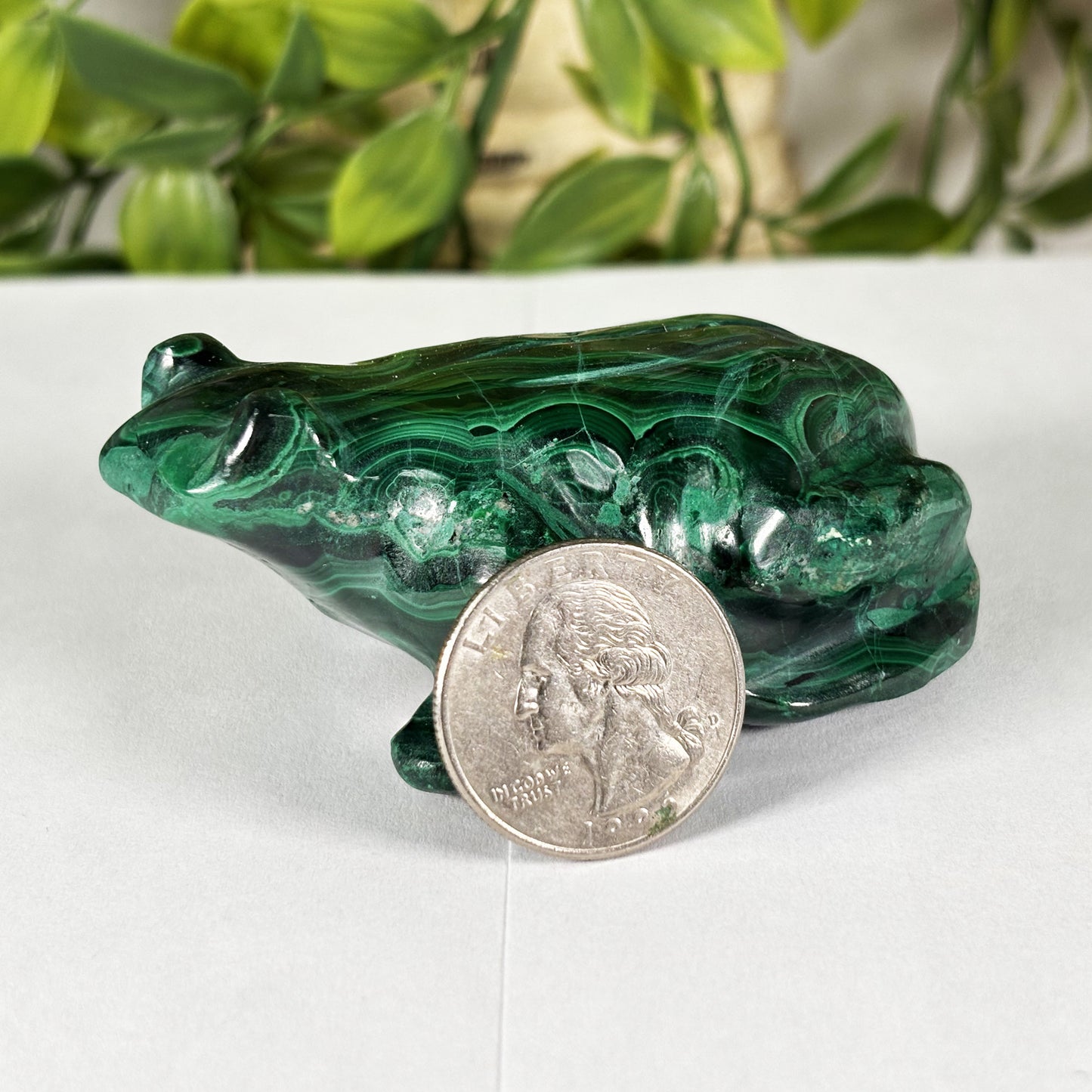 Malachite Gemstone Frog Figurine - Gem Avenue Retail