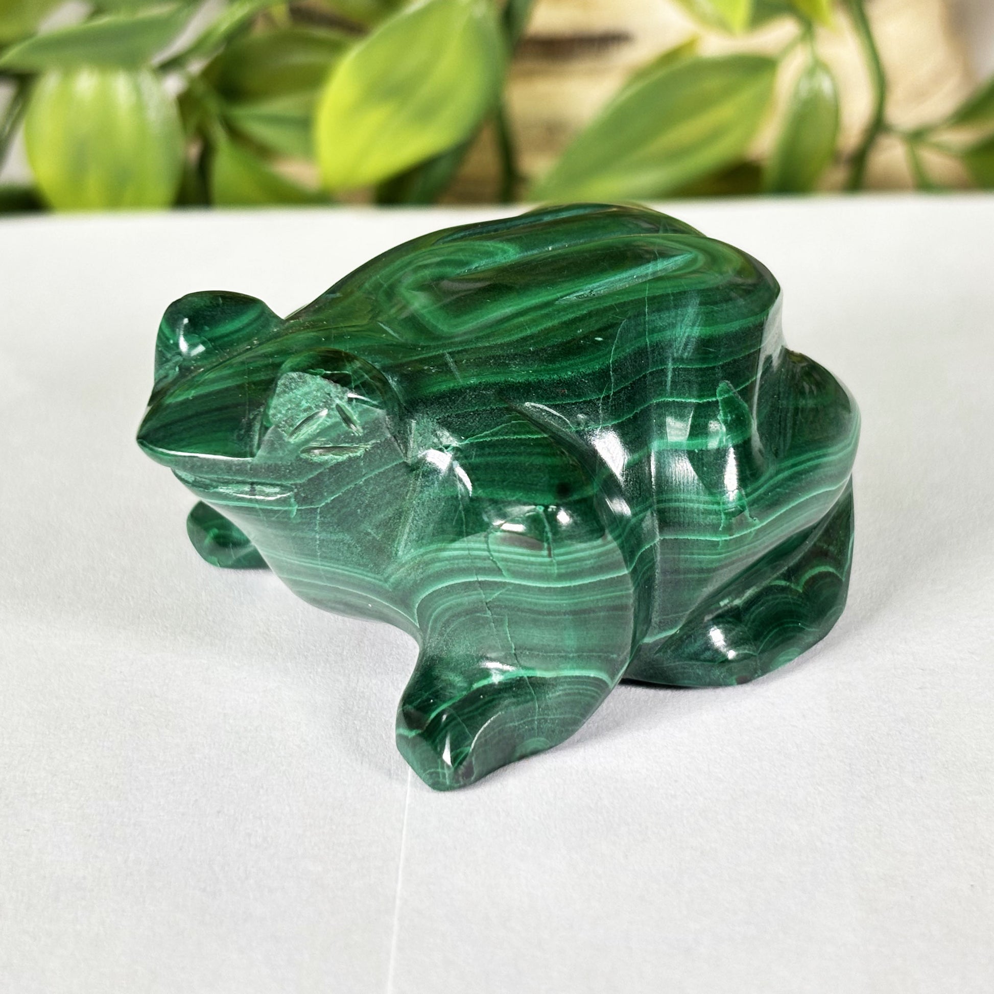 Malachite Gemstone Frog Figurine - Gem Avenue Retail