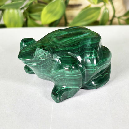 Malachite Gemstone Frog Figurine - Gem Avenue Retail