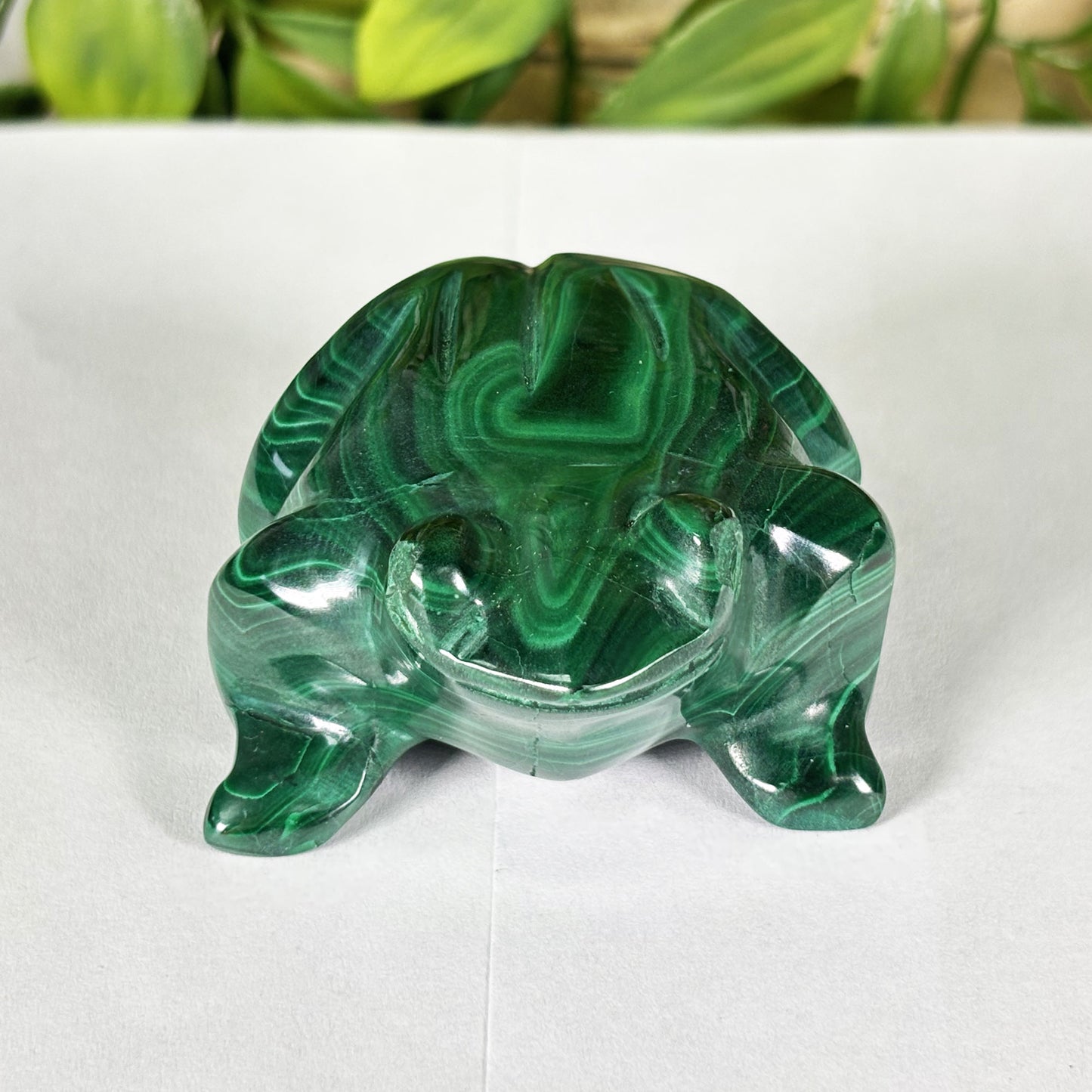 Malachite Gemstone Frog Figurine - Gem Avenue Retail