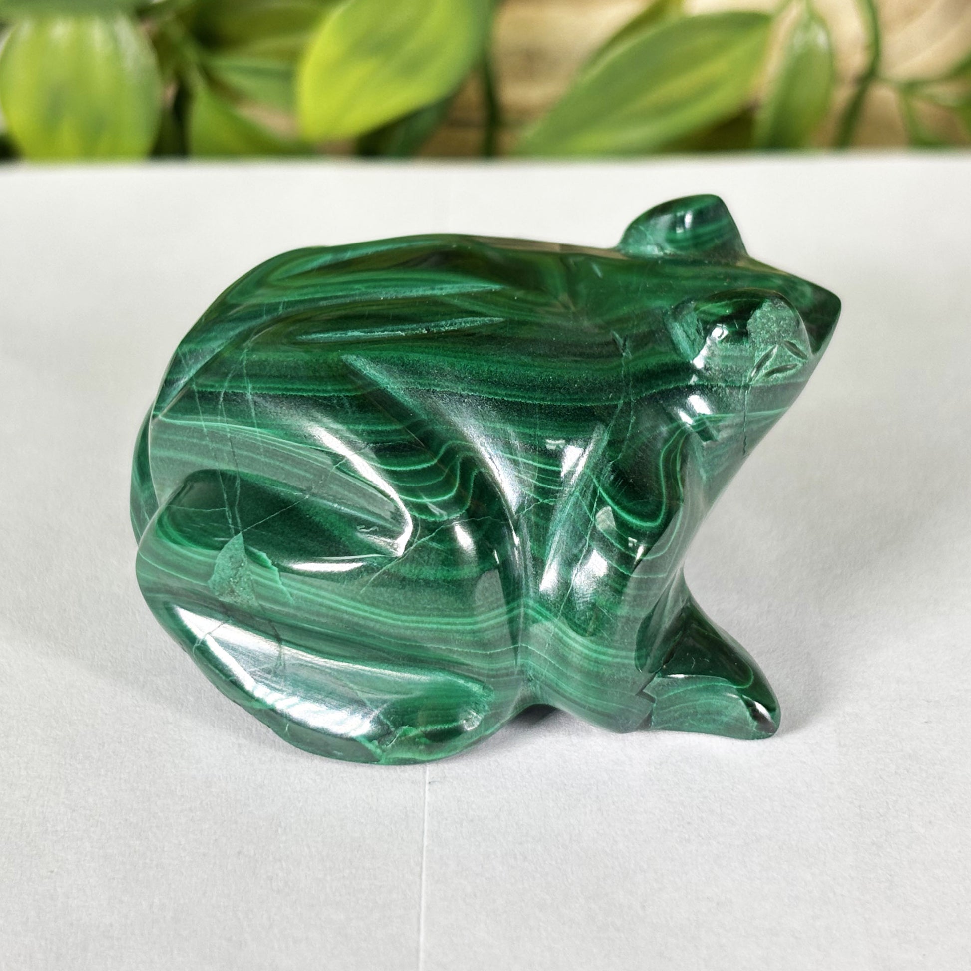 Malachite Gemstone Frog Figurine - Gem Avenue Retail