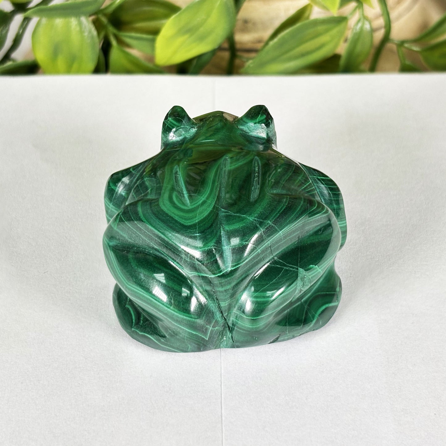 Malachite Gemstone Frog Figurine - Gem Avenue Retail