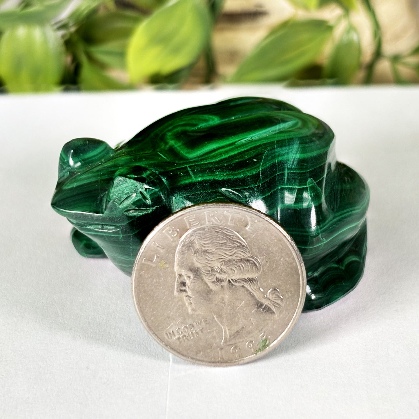 Malachite Gemstone Frog Figurine - Gem Avenue Retail
