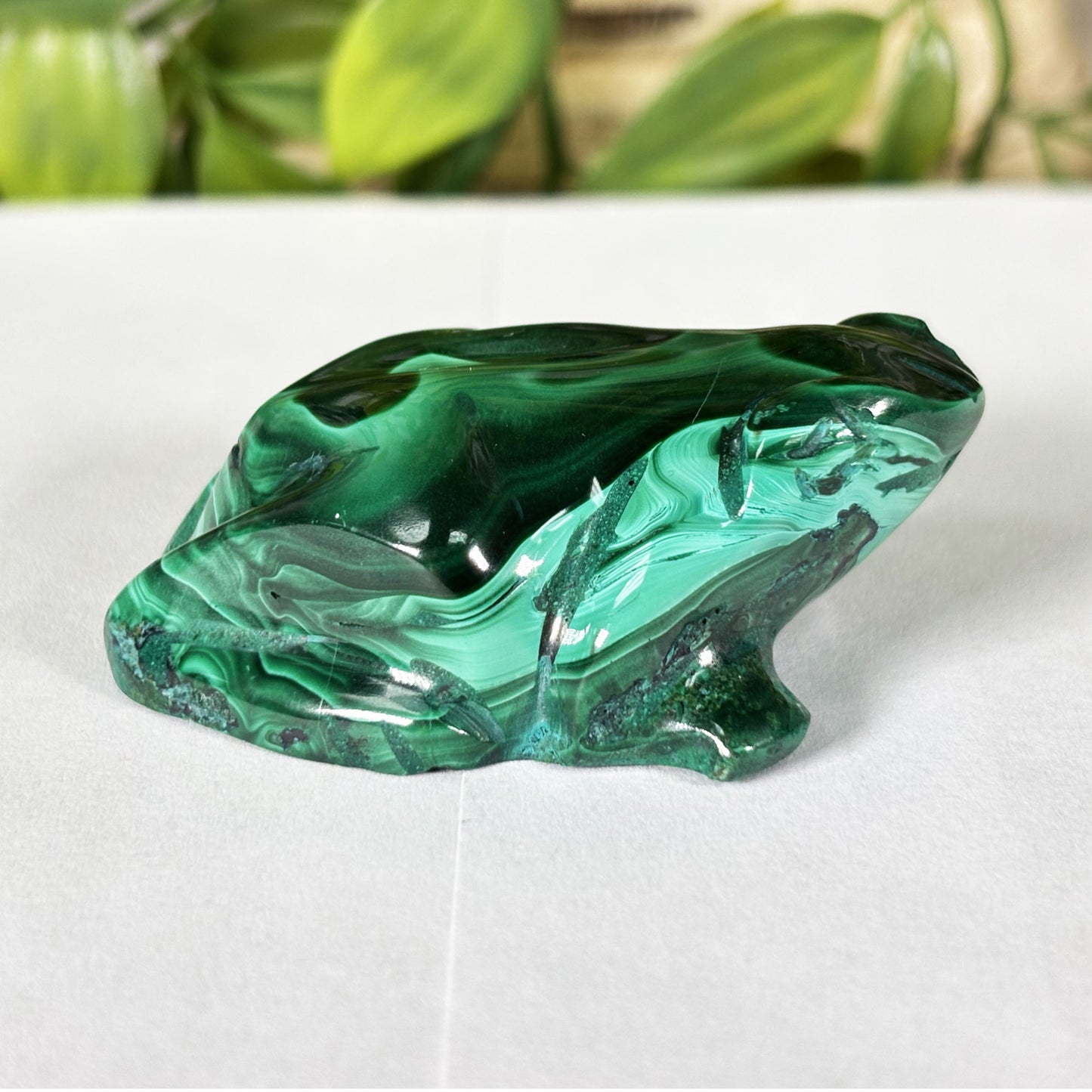 Malachite Gemstone Frog Figurine - Gem Avenue Retail