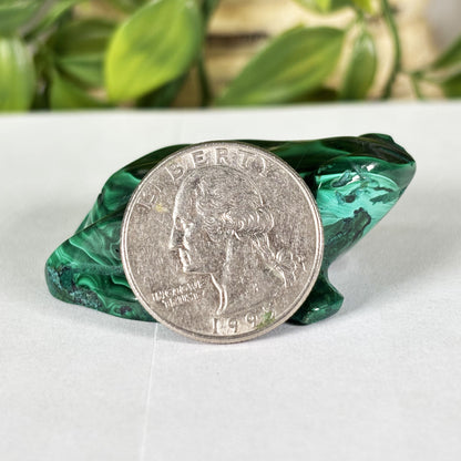 Malachite Gemstone Frog Figurine - Gem Avenue Retail