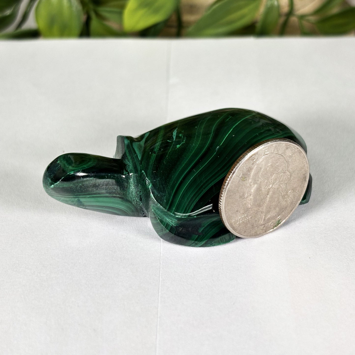 Malachite Gemstone Turtle Figurine - Gem Avenue Retail