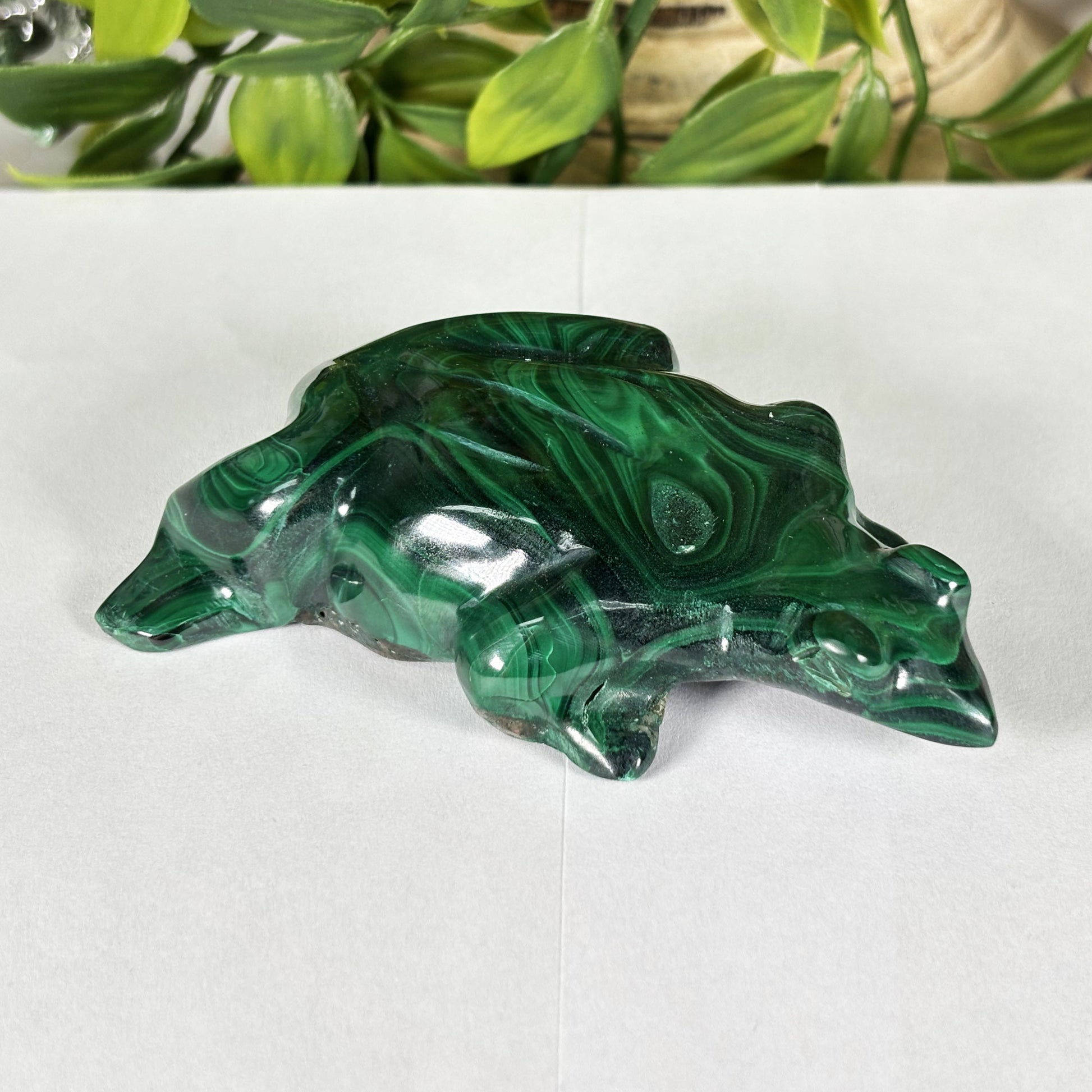 Malachite Crystal Frog Figurine - Gem Avenue Retail
