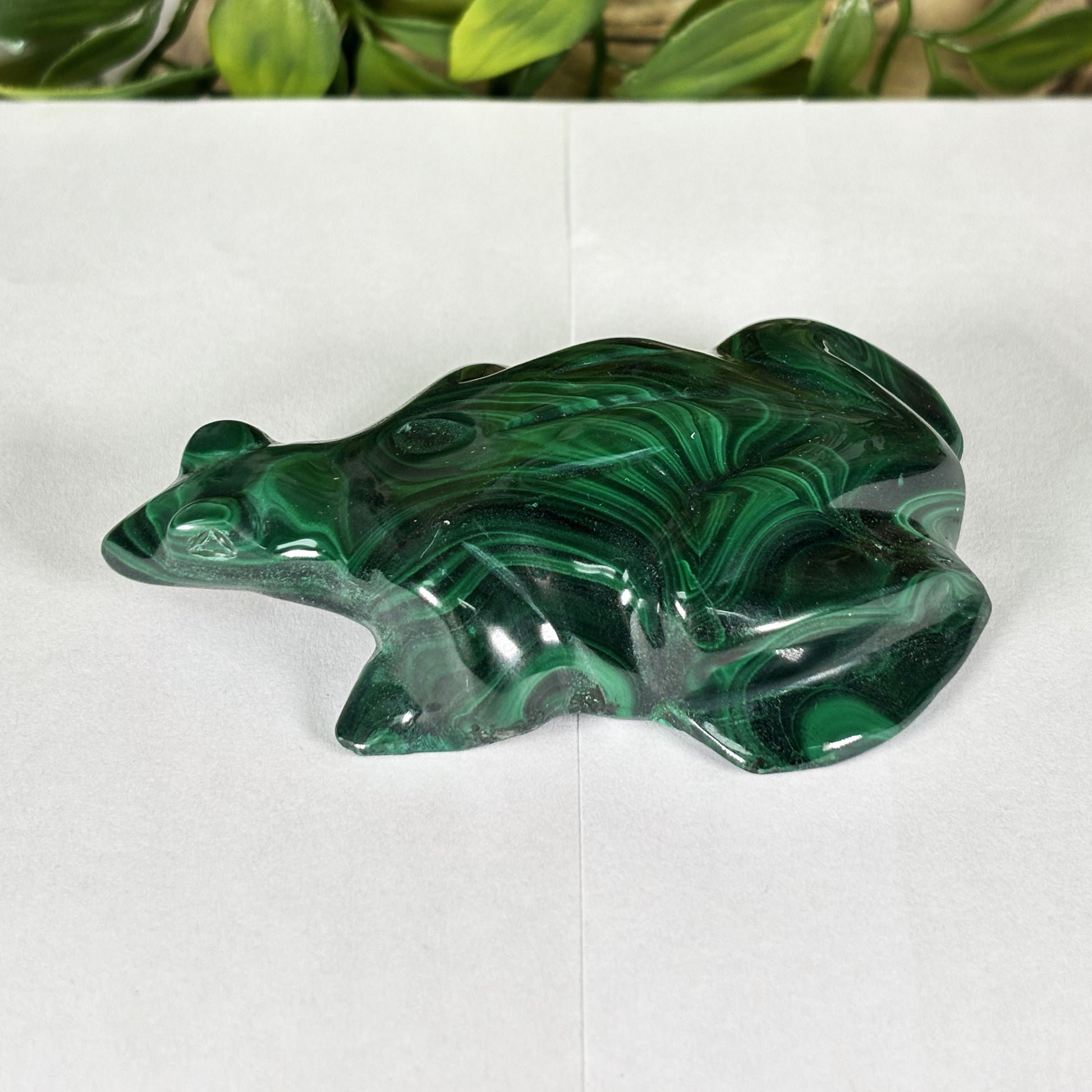 Malachite Crystal Frog Figurine - Gem Avenue Retail