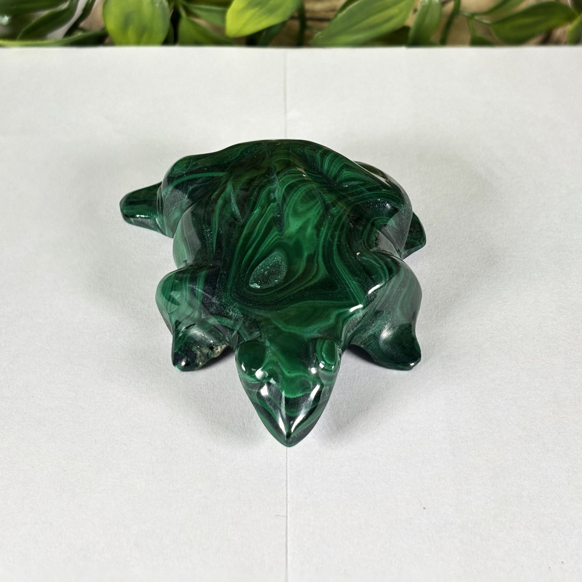 Malachite Crystal Frog Figurine - Gem Avenue Retail