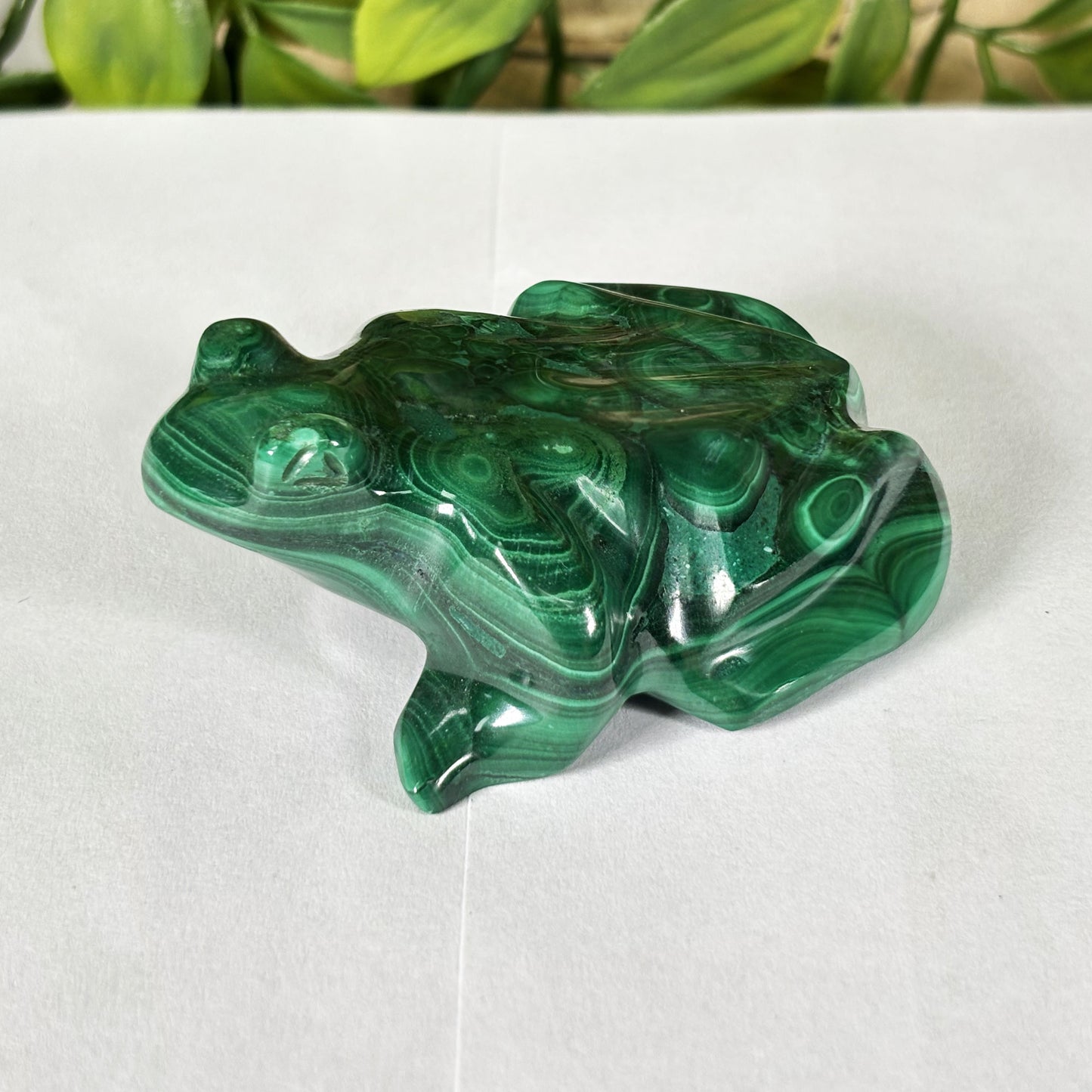 Malachite Crystal Frog Figurine - Gem Avenue Retail