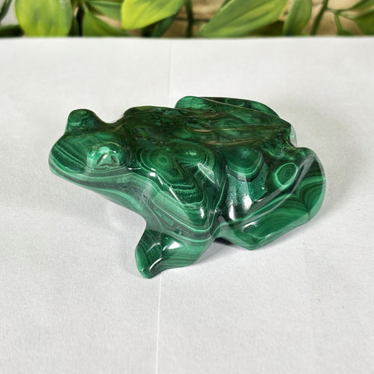 Malachite Crystal Frog Figurine - Gem Avenue Retail